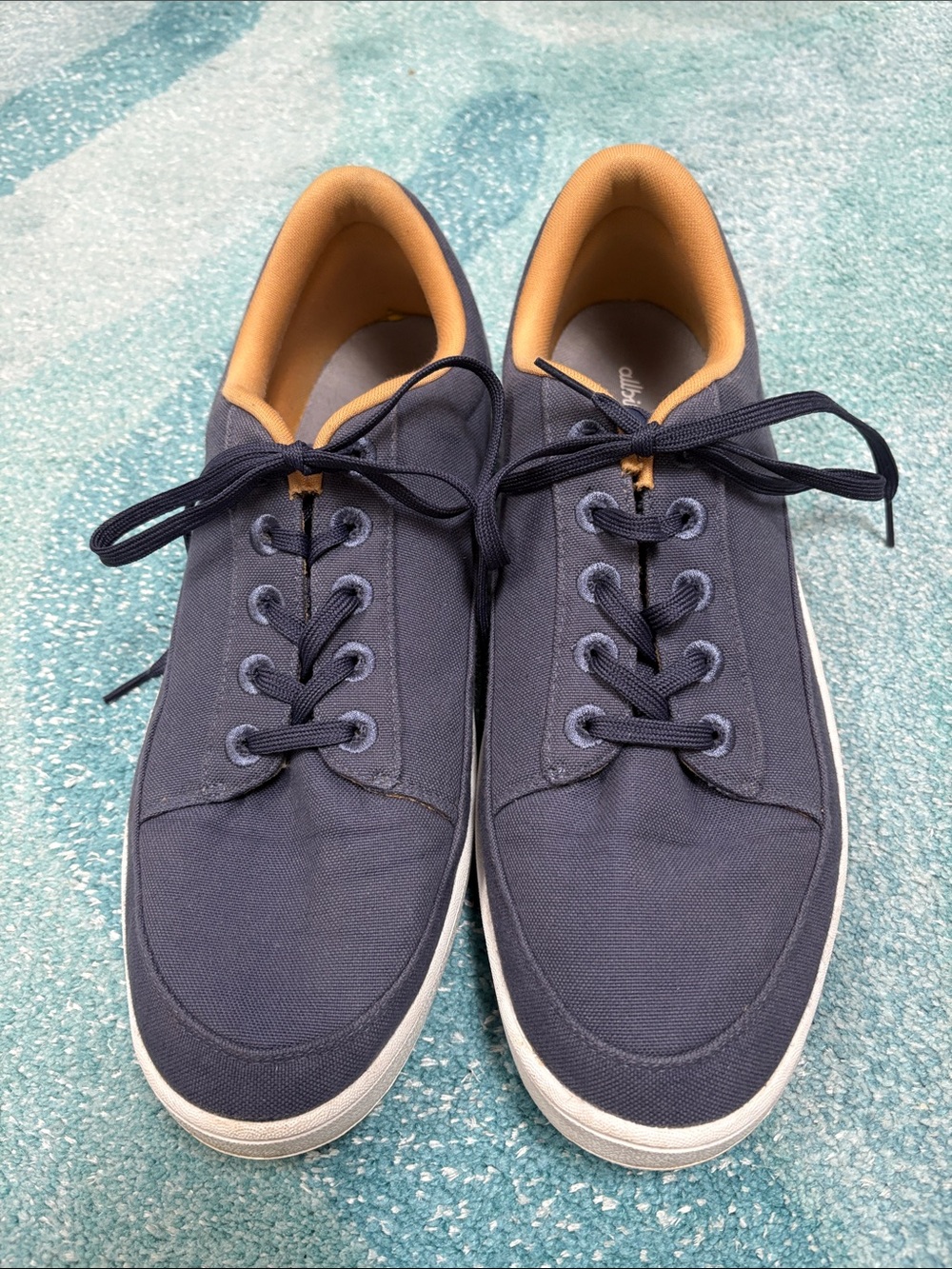 Allbirds Canvas Sneakers, Sz 14